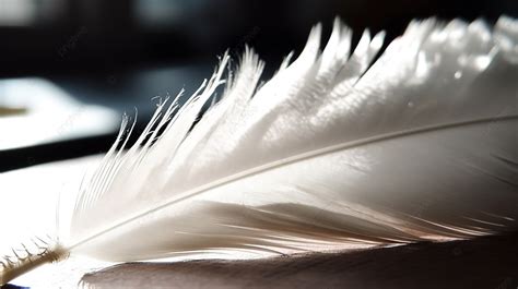 streaming White Feather