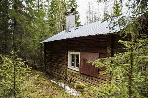 stuga i skogen