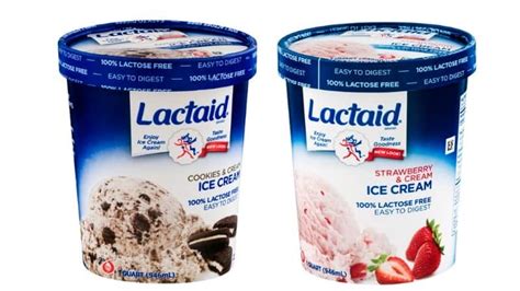sugar free lactose free ice cream