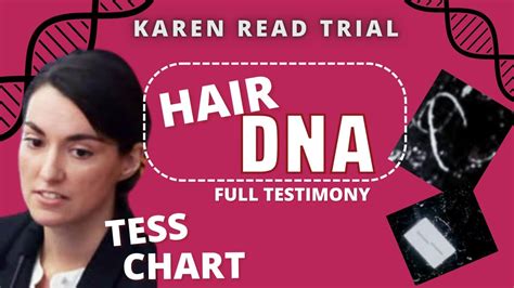 Tess Chart Karen Read