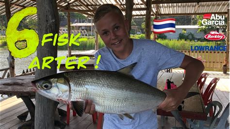 thailand fiskarter