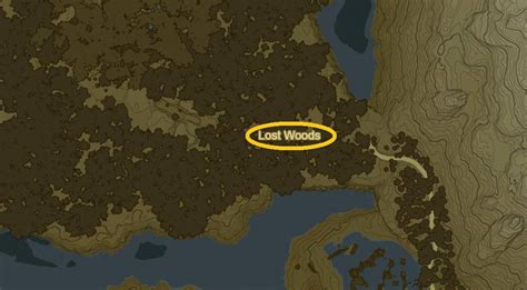 The Lost Woods Walkthrough
