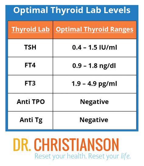 Thyroid Test Levels Chart