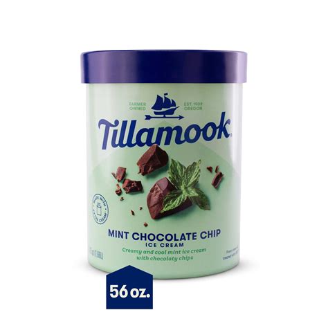 tillamook mint chocolate chip ice cream