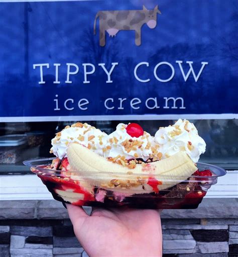 tippy cow ice cream