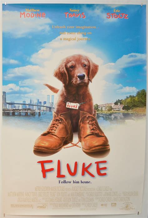 titta Fluke