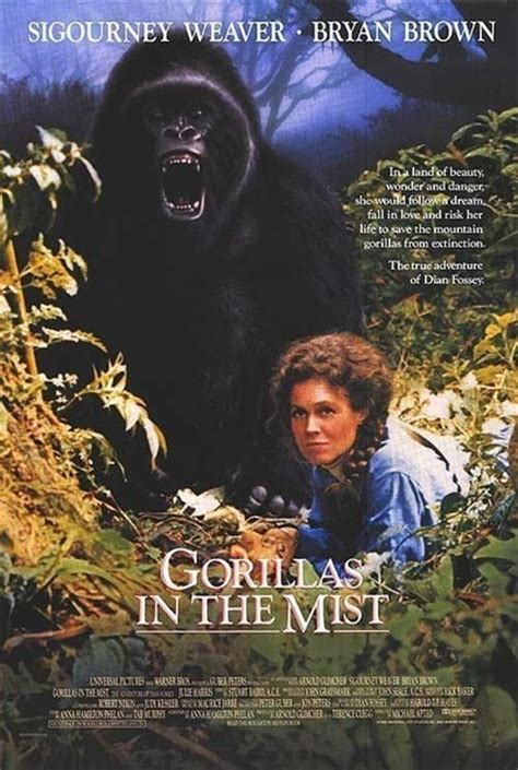 titta Gorillas in the Mist