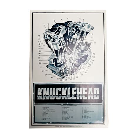 titta Knucklehead
