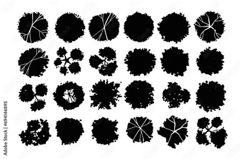 top view tree trunk silhouette, Tree top view silhouette isolated. Tree silhouette top vector isolated black illustration stock blue