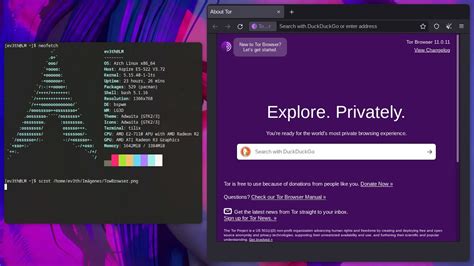 tor browser arch linux, Use tor private obfs4 bridges linux