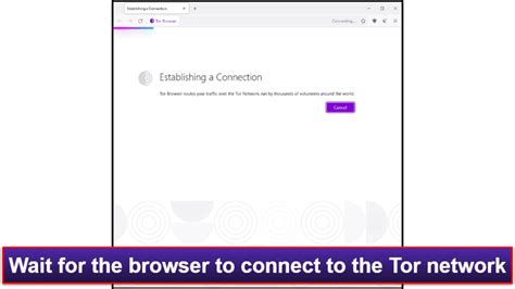 tor browser doesn't connect, What is the tor browser? and how the dark web browser works (2022)