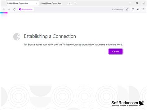 tor browser establishing connection, What is the tor browser? and how the dark web browser works (2022)