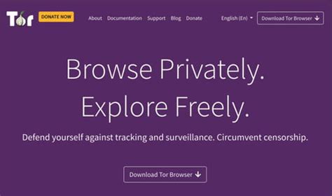 tor browser italiano, What is tor browser? and how the dark web browser works (2022)