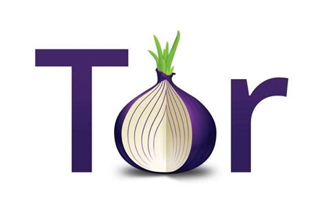 tor browser la gi, How to uninstall tor browser on windows 10 and mac