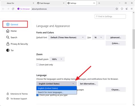 tor browser language settings, What is the tor browser? and how the dark web browser works (2022)