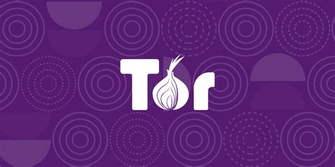 tor browser navegador, Tor browser web logo background. Tor web browser