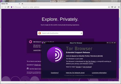 tor browser no install, تحميل torque browser متصفح تروك بروازنج للاندرويد برابط مباشر