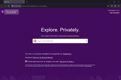 tor browser ohne installation, 