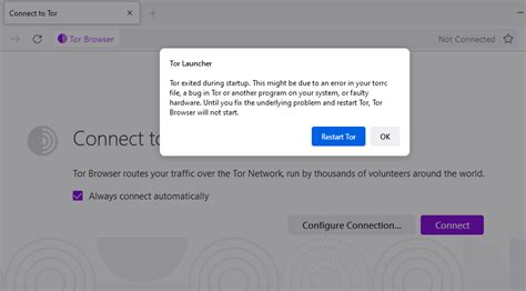 tor browser profile problem, What is the tor browser? and how the dark web browser works (2022)