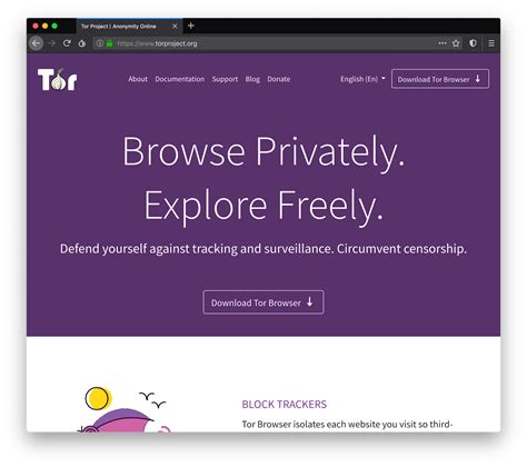 tor browser project website, What is the tor browser? and how the dark web browser works (2022)
