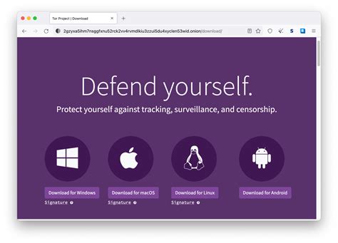 tor browser safety, Is the tor browser safe to use in 2023?