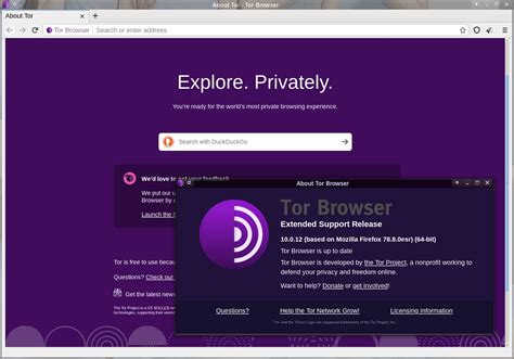 tor browser setup, Tor browser use anonymously web setup install surf using usb stick. How to use the tor browser to surf the web anonymously
