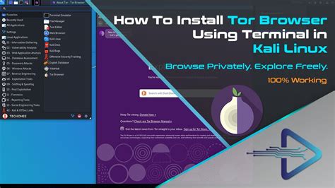 tor browser terminal, What is the tor browser? and how the dark web browser works (2022)