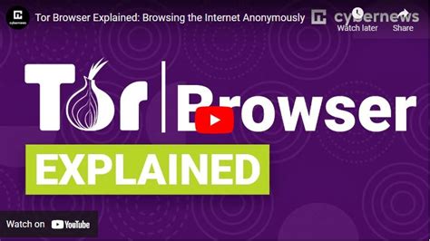 tor browser what does it do, What is tor browser? and how the dark web browser works (2022)
