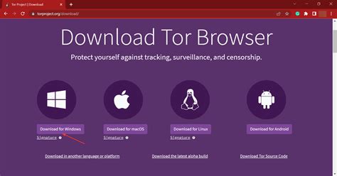 tor browser windows 10 32 bit, Download and use tor browser on windows 10