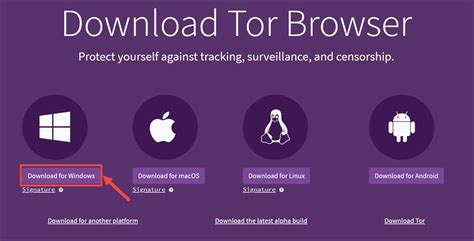 tor browser windows 11 install, How to install tor browser on windows 11