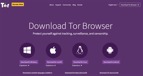 tor browser without vpn, Tor vs. vpn: what's the difference + which is safest?
