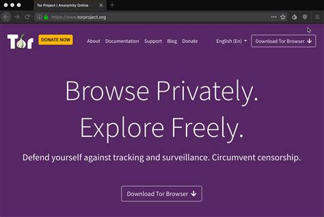 tor download 32 bit, تحميل متصفح تور tor browser عربي للكمبيوتر وللاندرويد اخر اصدار 2024 من
