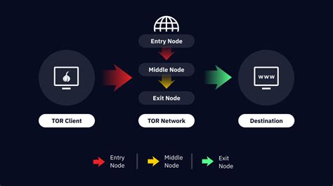 tor exit node search, A look into tor nodes’ locations and isps with ip intelligence