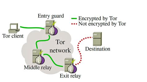tor full form in environment, Tor use hackers why brouser mostly secure unique simple web its but big. What is tor