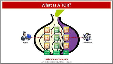 tor meaning in computer, All about tor