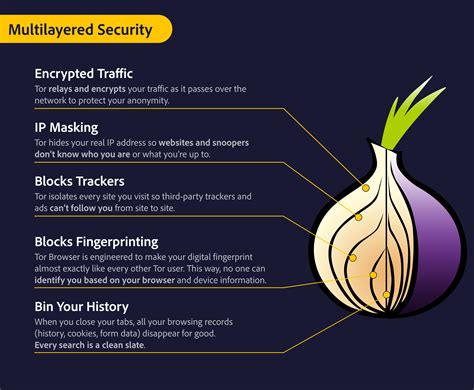 tor to access web security tools, Is the tor browser safe to use in 2023?