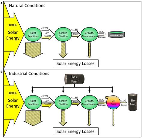 transfer energy flow diagram 