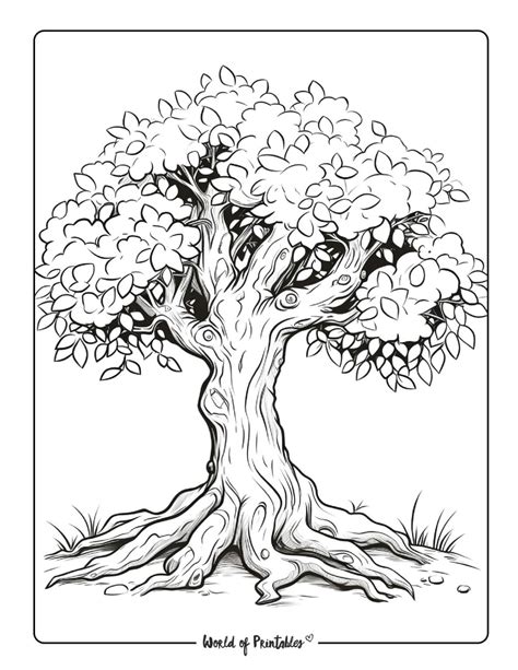 tree coloring page printable, Pin on toddler crafts