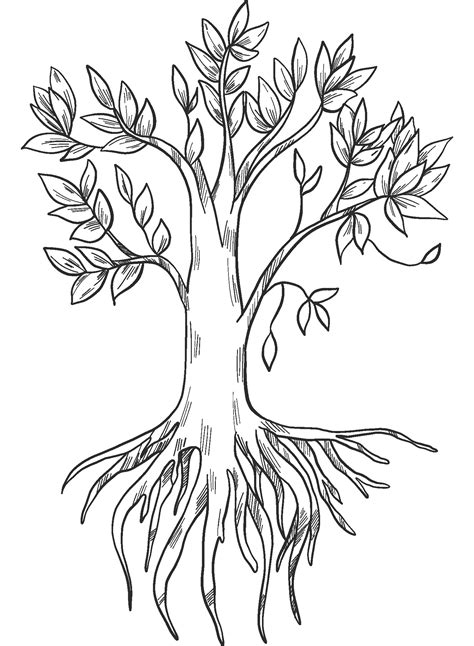 tree coloring pages with roots, Tree coloring pages roots getcolorings. Tree coloring pages with roots at getcolorings.com