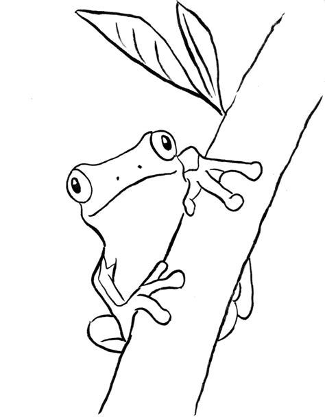 tree frog coloring page, Tree frog coloring page