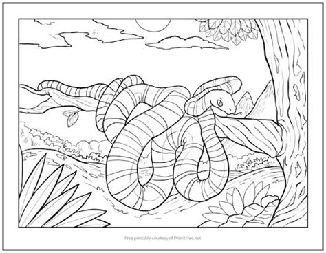 tree snake coloring page, Snake and tree of knowledge in garden of eden coloring page