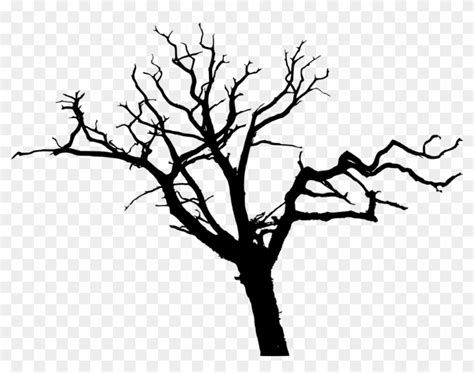 tree trunk transparent background silhouette, 45 tree silhouettes png transparent background. Tree transparent background silhouettes silhouette onlygfx px 2000 1978 resolution