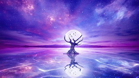 tree with moon background, 4k desktop planets magnificent teahub wallpaperbat branches dreamcatcher spiritual wallpaperboat wallhere. Moon and tree wallpapers