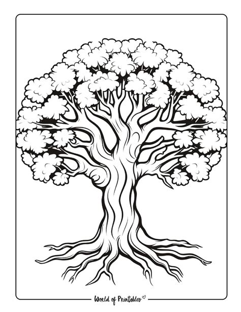 trees coloring pages free, Trees coloring pages. Coloring pages trees tree printable print nature contains coniferous deciduous fruit section both