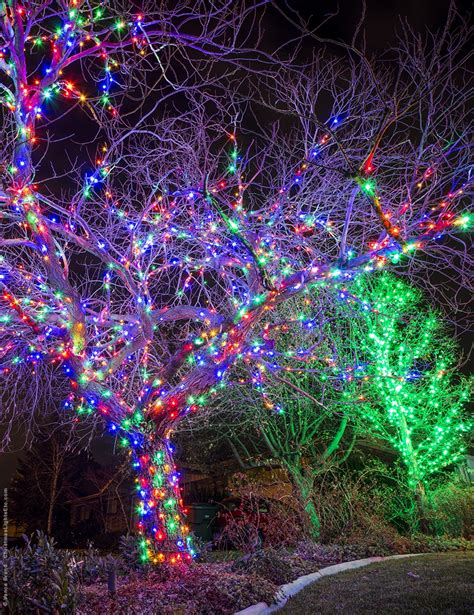 trees with colored lights, Colorful christmas tree ornaments – homedecorish