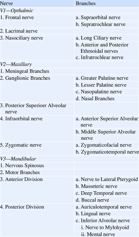 Trigeminal Nerve Branches Chart