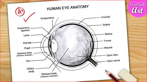 tutorial eye diagram 