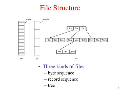 types of file structure, File types structure data slideshare. File types in data structure