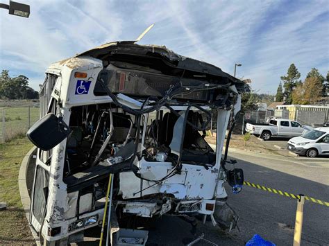 ucsc loop bus crash, Petition · reform ucsc loop bus system
