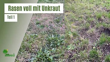 unkraut+vor+rasensaat+entfernen
